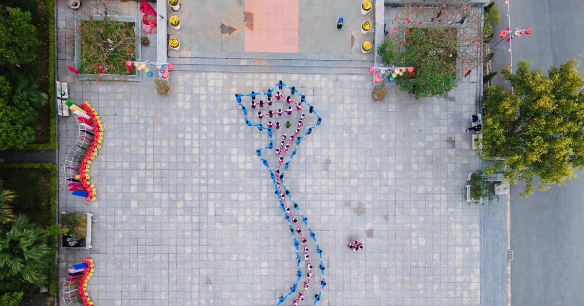 3fc8564ea99050570571.webp