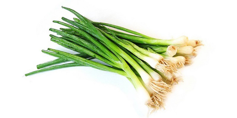 3fcbe9f5028bfaba2e7c.jpg