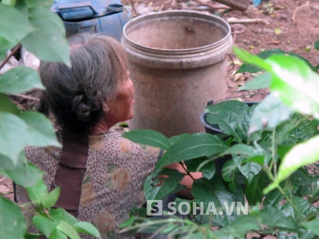 3fd004c0502052ebd0cb.jpg