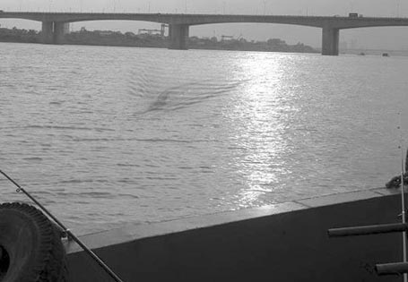 3fdd5059d5696093f7c0.jpg