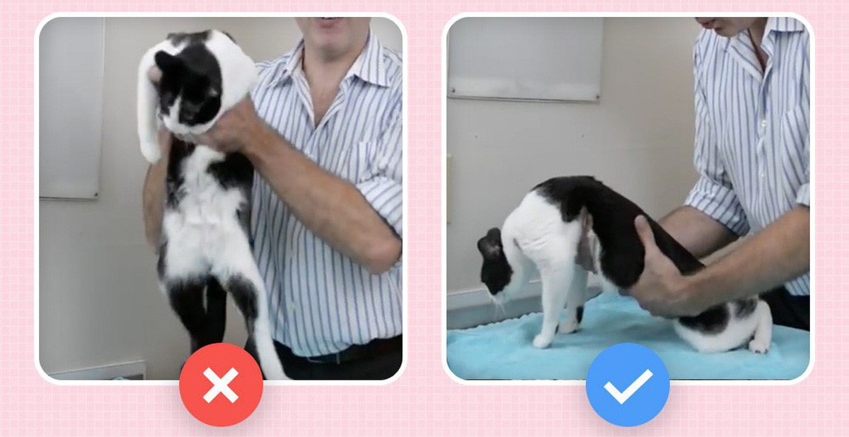 3ff52ec14549c1aed33c.jpg