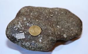 40618e0641957cccb477.jpg