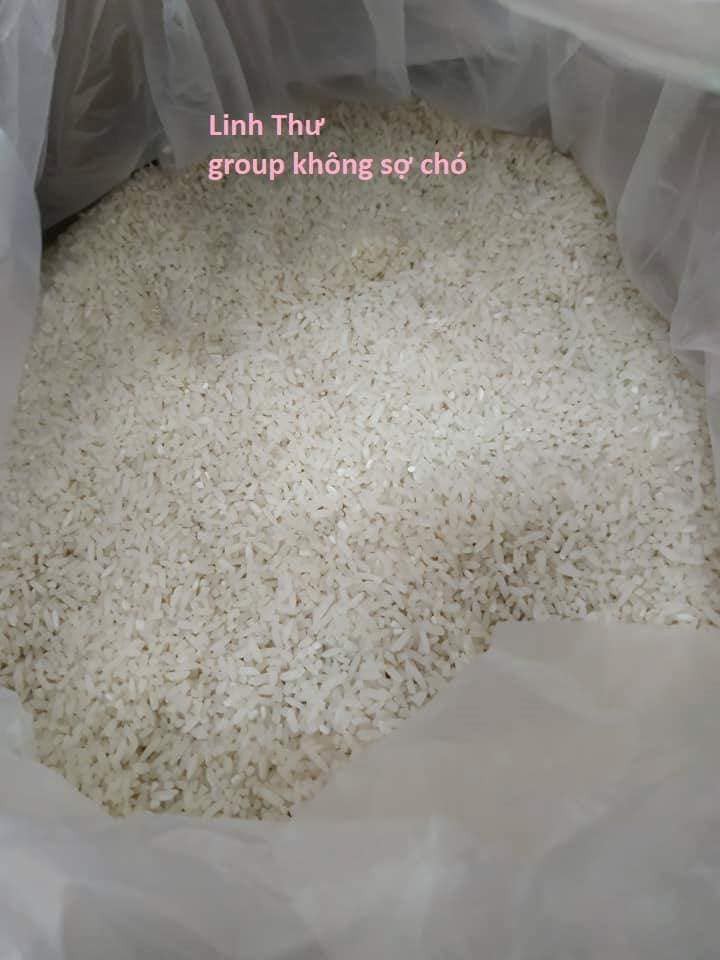 40b659b536840b057175.jpg
