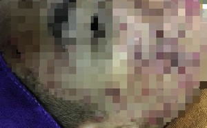 40c03c056f1580285ac1.jpg