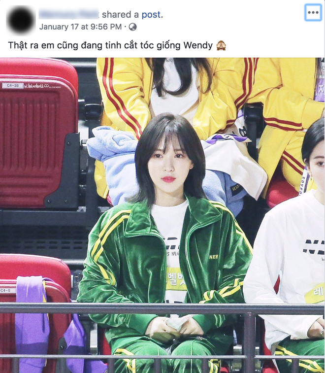 4117261c26708193fefa.png