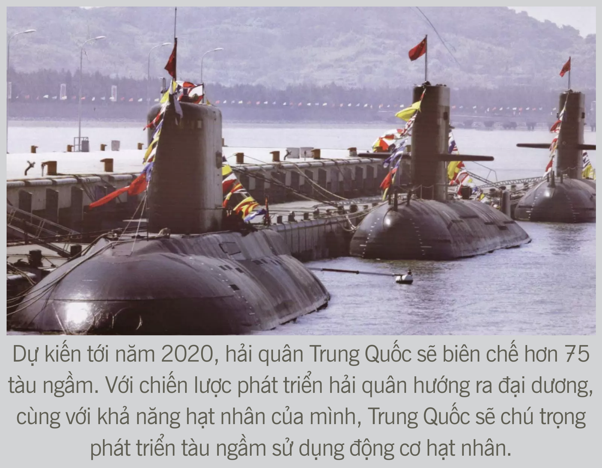 4151cd713326a0801c04.png
