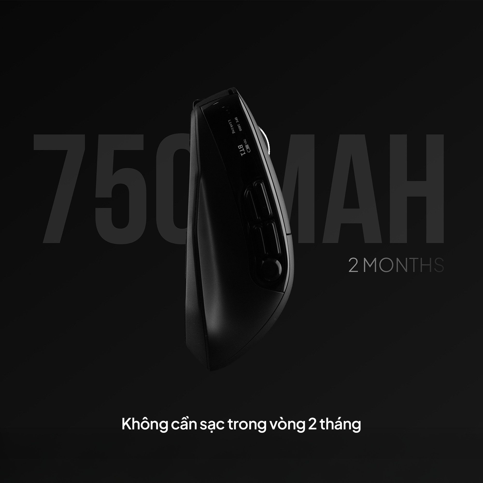 41ba5d7ddca44b2ca396.png