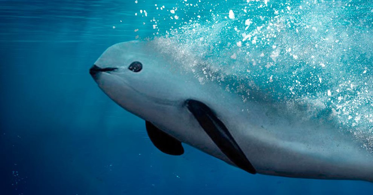 41bf9d1f29cdb88a06f4.jpg
