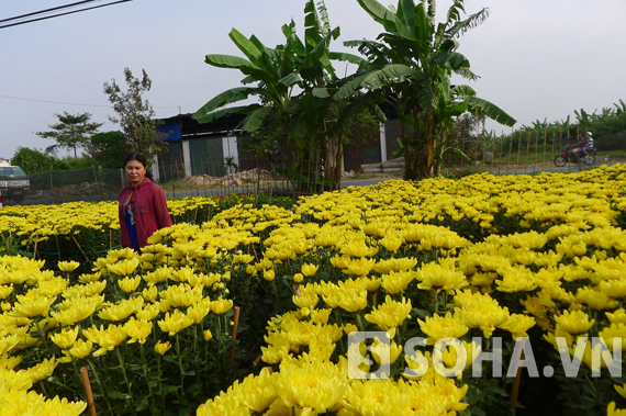 42013b73fe80404b57fb.jpg