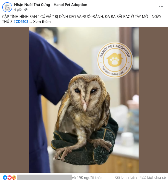 42728cfaceae3a701157.png