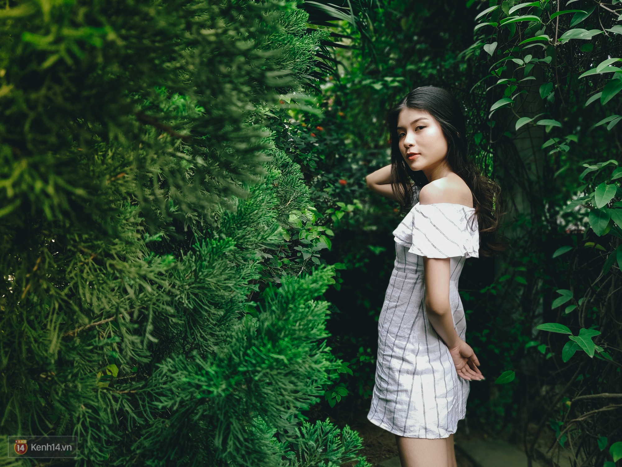 429a72076bb3be81ef90.jpg