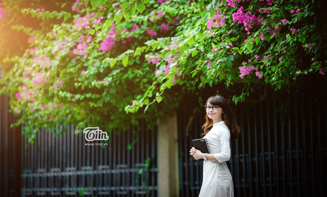 42a61298cbec5337e11b.jpg