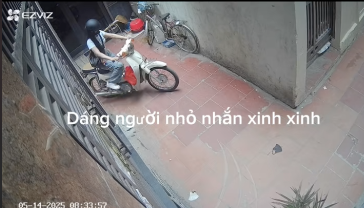 42af26cb1627c94bc775.png
