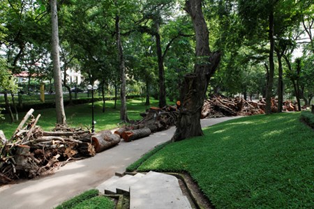 42c24577ff2ef0541e78.jpg
