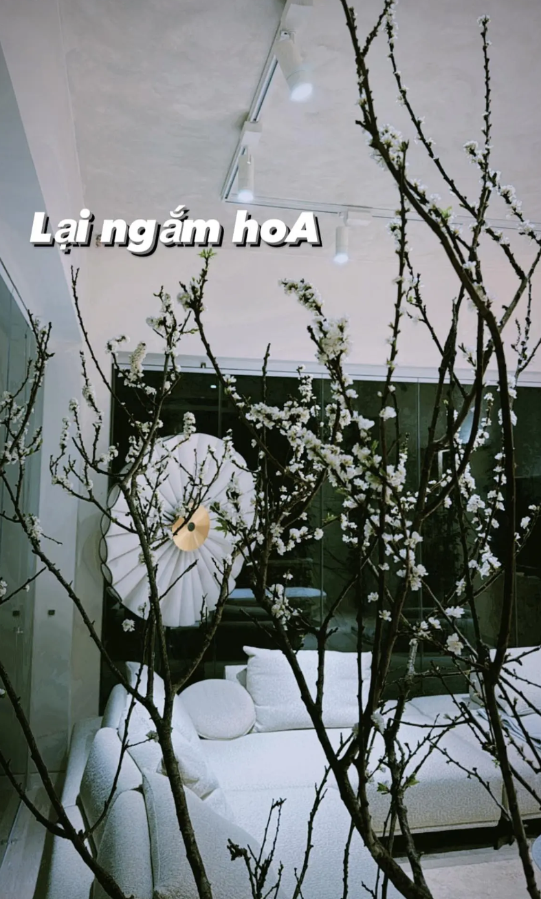 430417ed210070361935.png