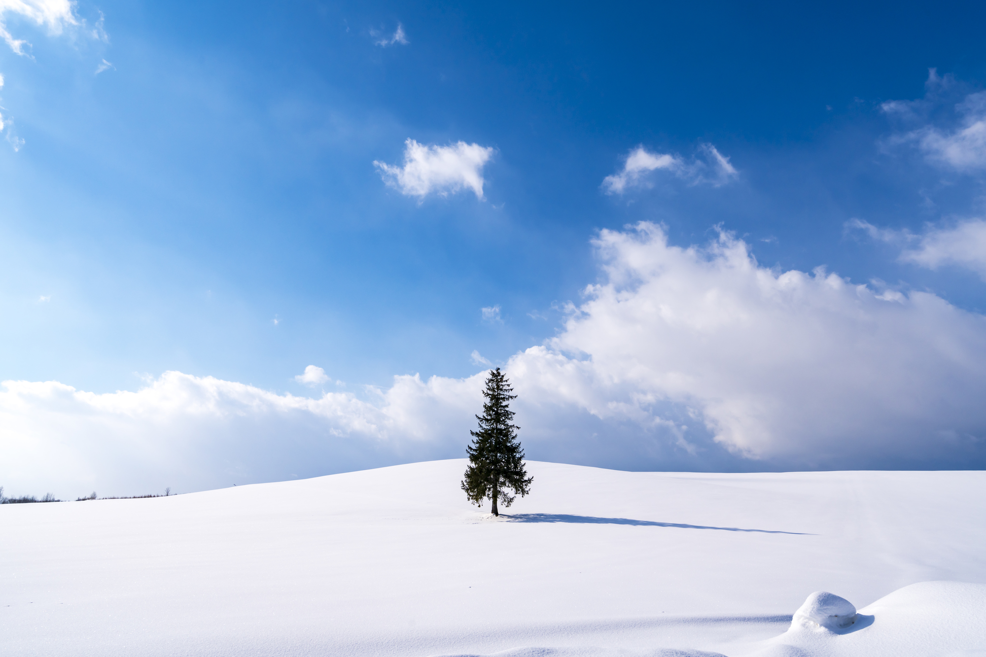 4305652cfe8330655b34.png