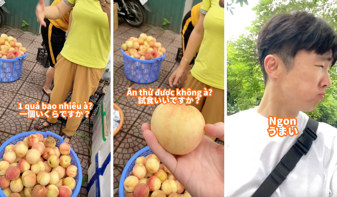 43186764088a4db36906.png