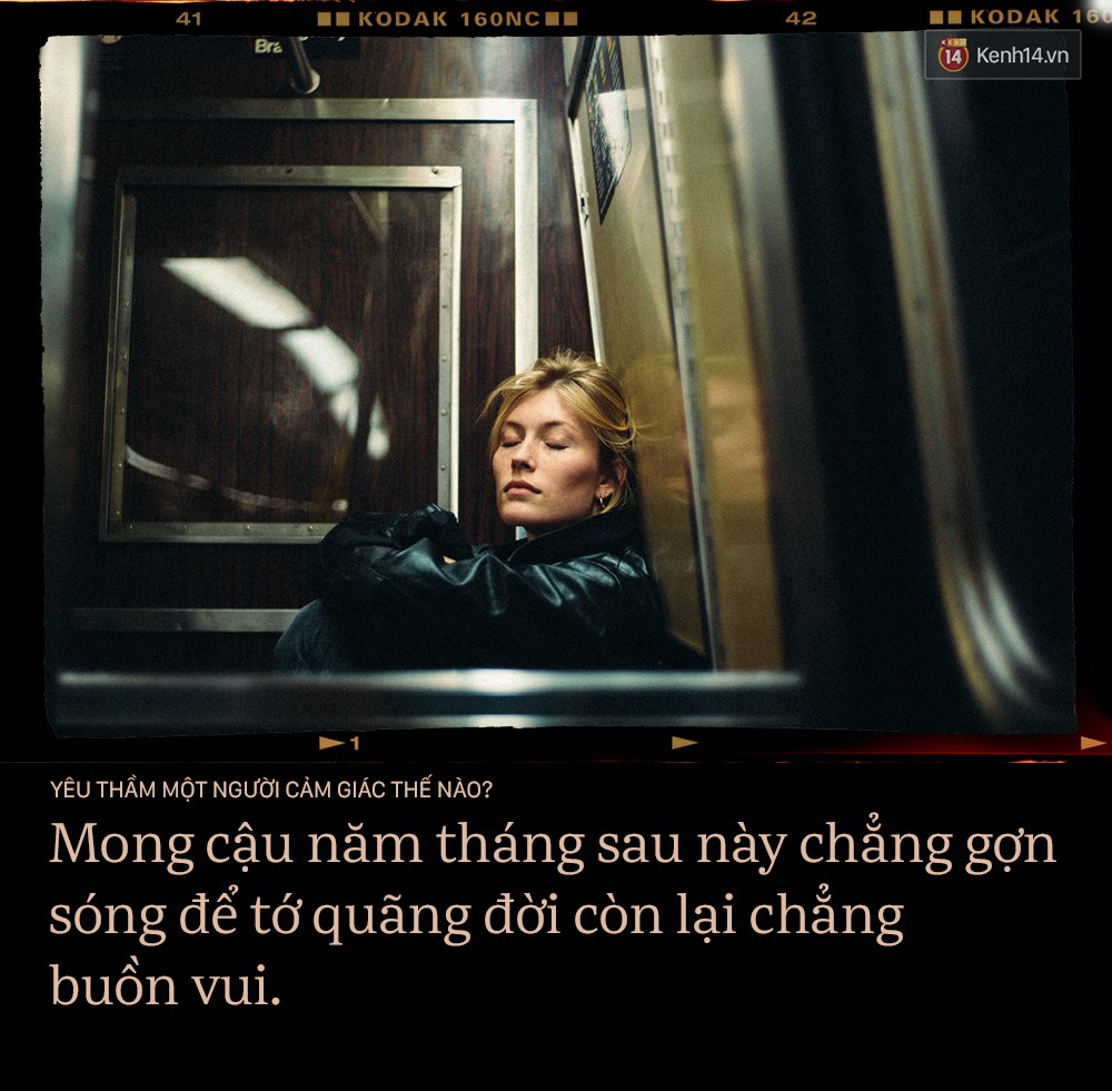 432365ef766e31dd4a66.jpg