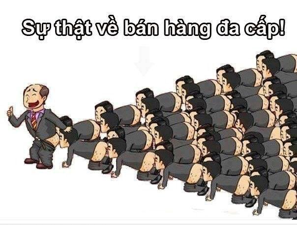 4333ca272732109ceda4.jpg