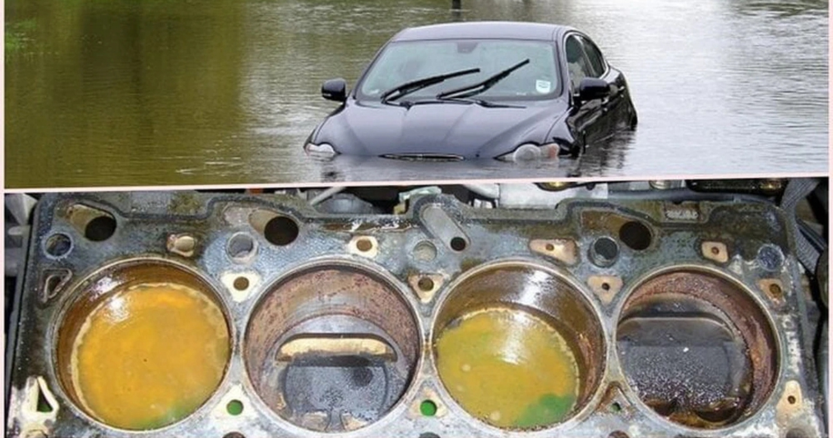 434e9d432ea396eedb96.jpg