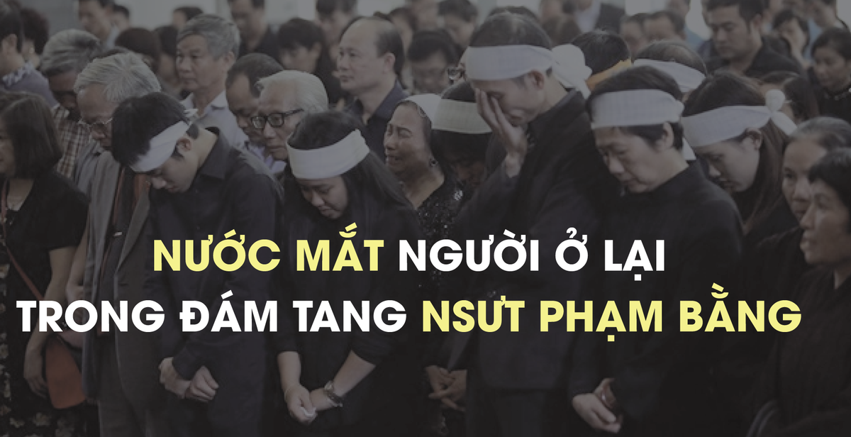 43598984de5f33f17978.png