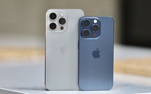 4362679e567f2f955317.jpg