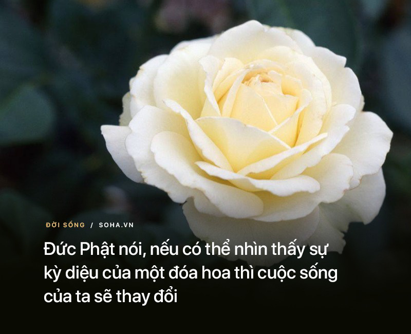 4369d5e09bd172507ada.jpg