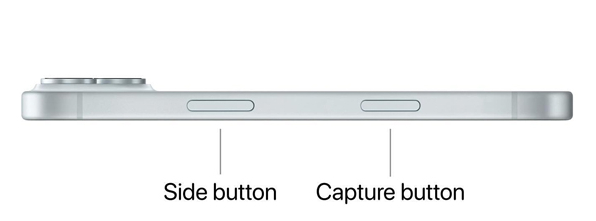 43802d25e16ed57f878c.jpg