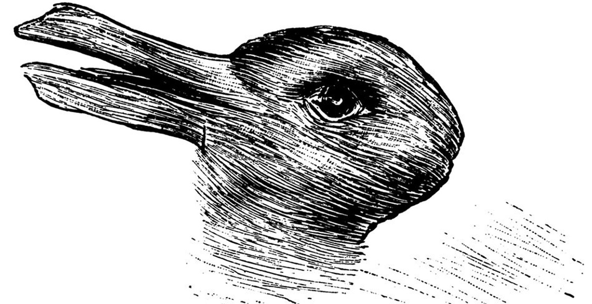 4382a47c80f80aa22c56.jpg