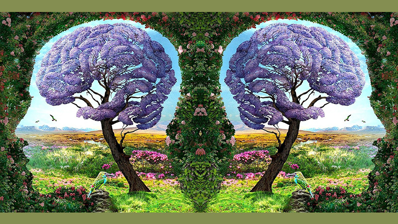 43dfbd9c09005ce38cd4.jpg