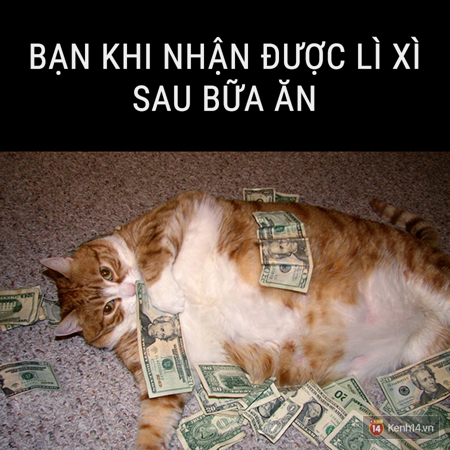 43fec0c0a3094e1b88b7.png