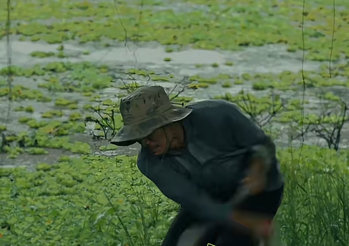 443736503b36b57896c7.png