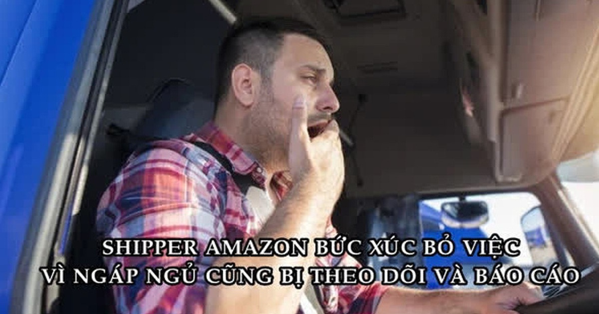 443e8ca702e0cfd872c8.jpg