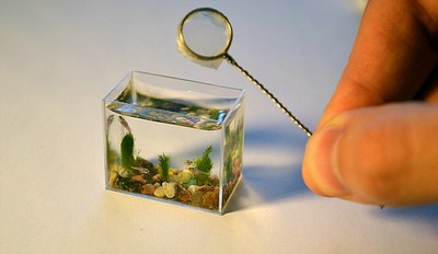 44400d74bf351981f4e7.jpg