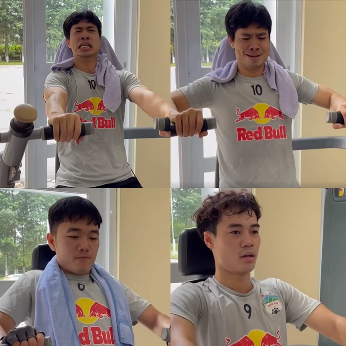 4462ef03de691796d657.png