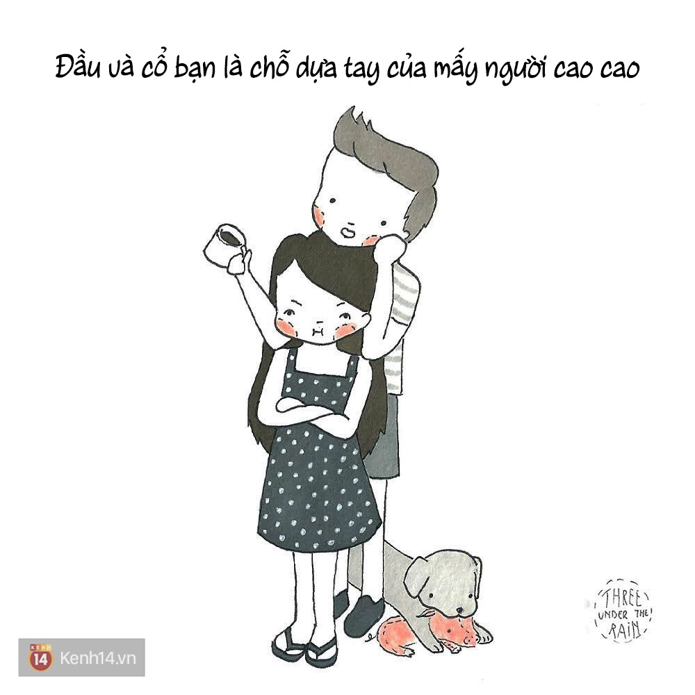 447a2401fd342e77df0b.jpg