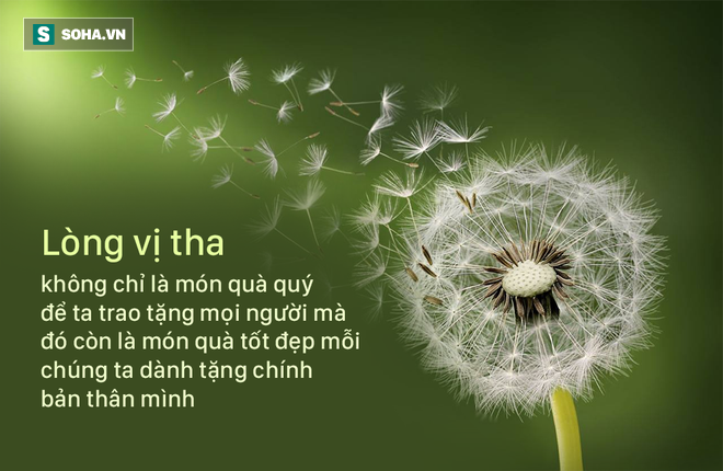4490983a90a9497af7d1.png