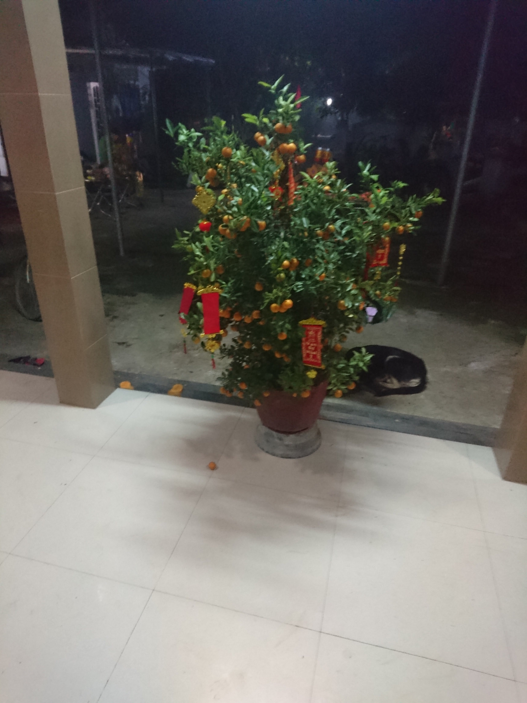 Chỉ còn vài ngày nữa là sang năm mới rồi, chia sẻ tết của mình nè