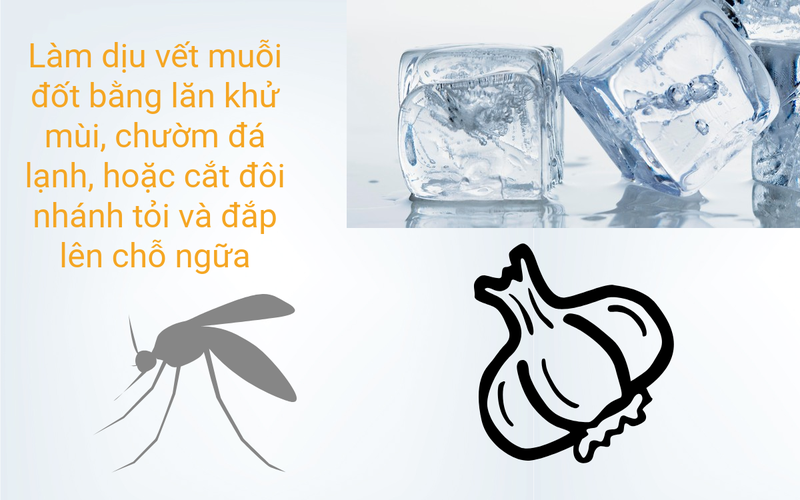 44b7f0da3611824ff631.png