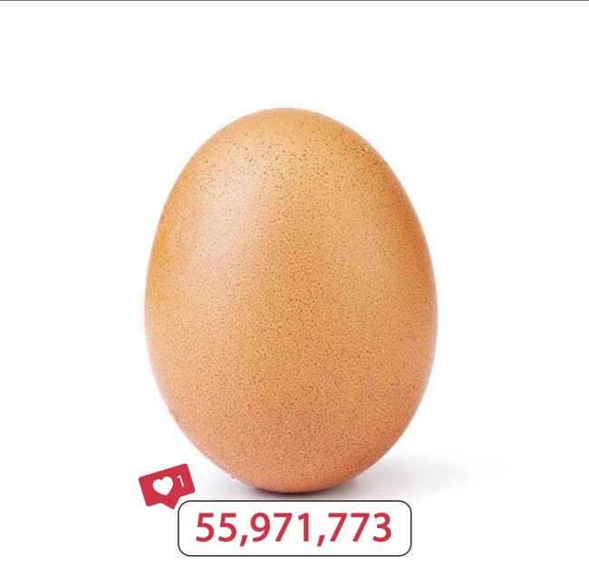 44b8149b5446e8c28f25.jpg