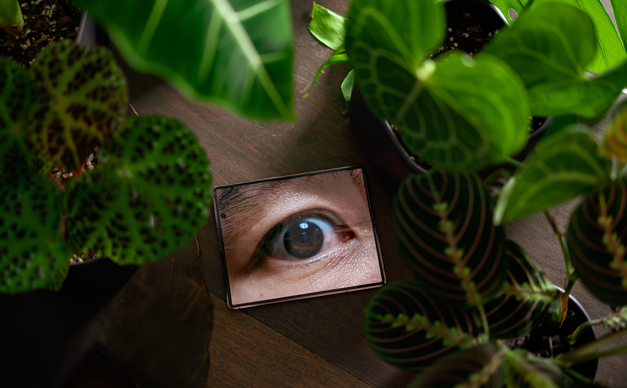 44bf90c4d7c0ea395331.jpg