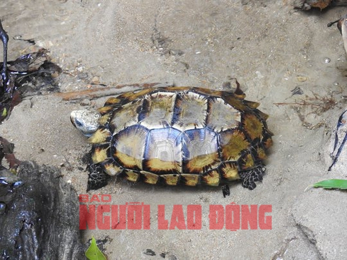 451b62b96c4dd9c9c9ba.jpg