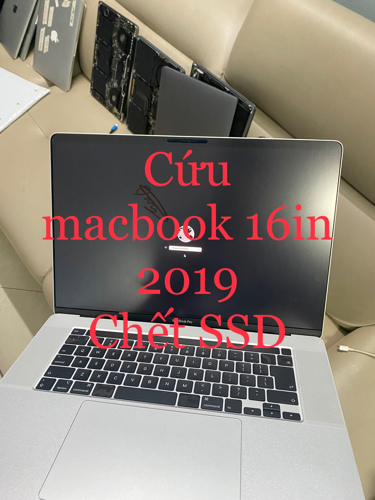 452e81b4d5819cc98790.jpg