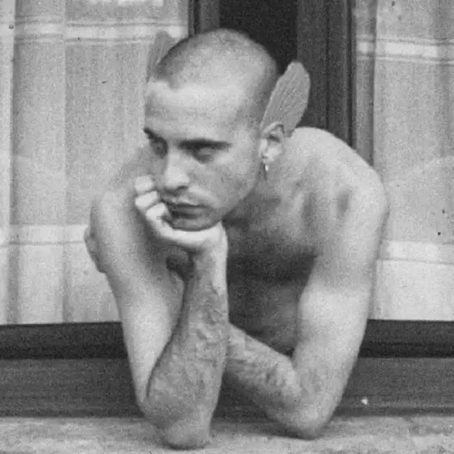 45c07fbff9cb802424f5.jpg