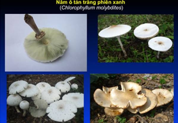 45cb0f6df10eb2f54849.jpg