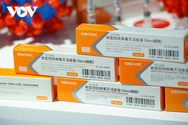 46026a924b3bf6de97f1.jpg