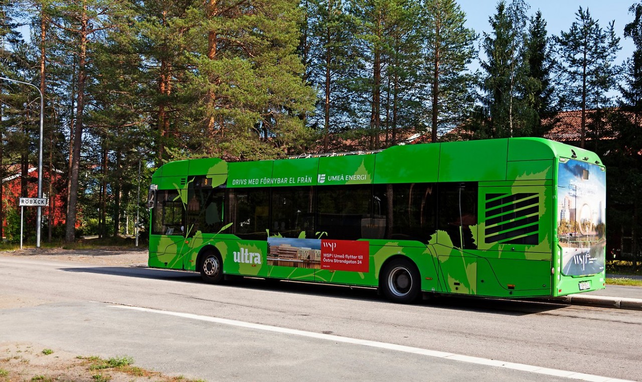 4622ff1edee896bfca86.jpg