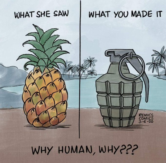 4625b66bc5e74c7ae260.jpg