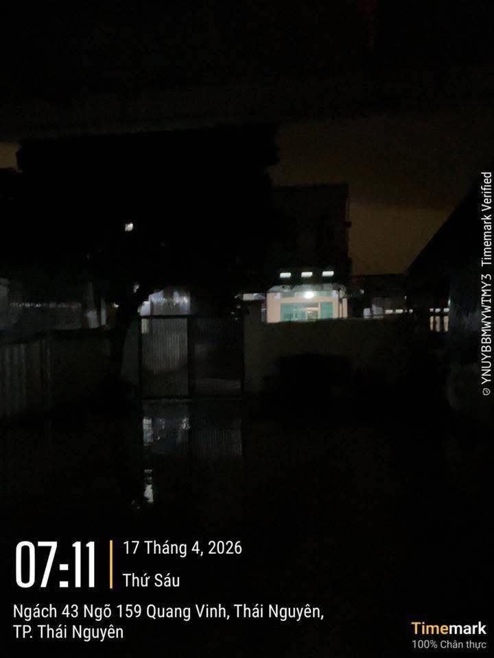 4632fff6bfd12f8e0b31.jpg