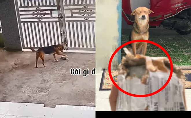 464877f78d1c4dc2e5e2.png